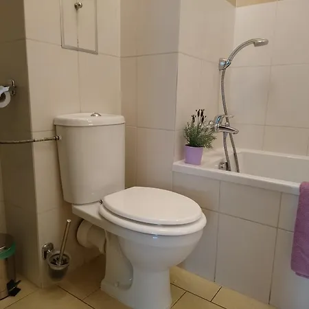 Locativus Czysta Apartment *